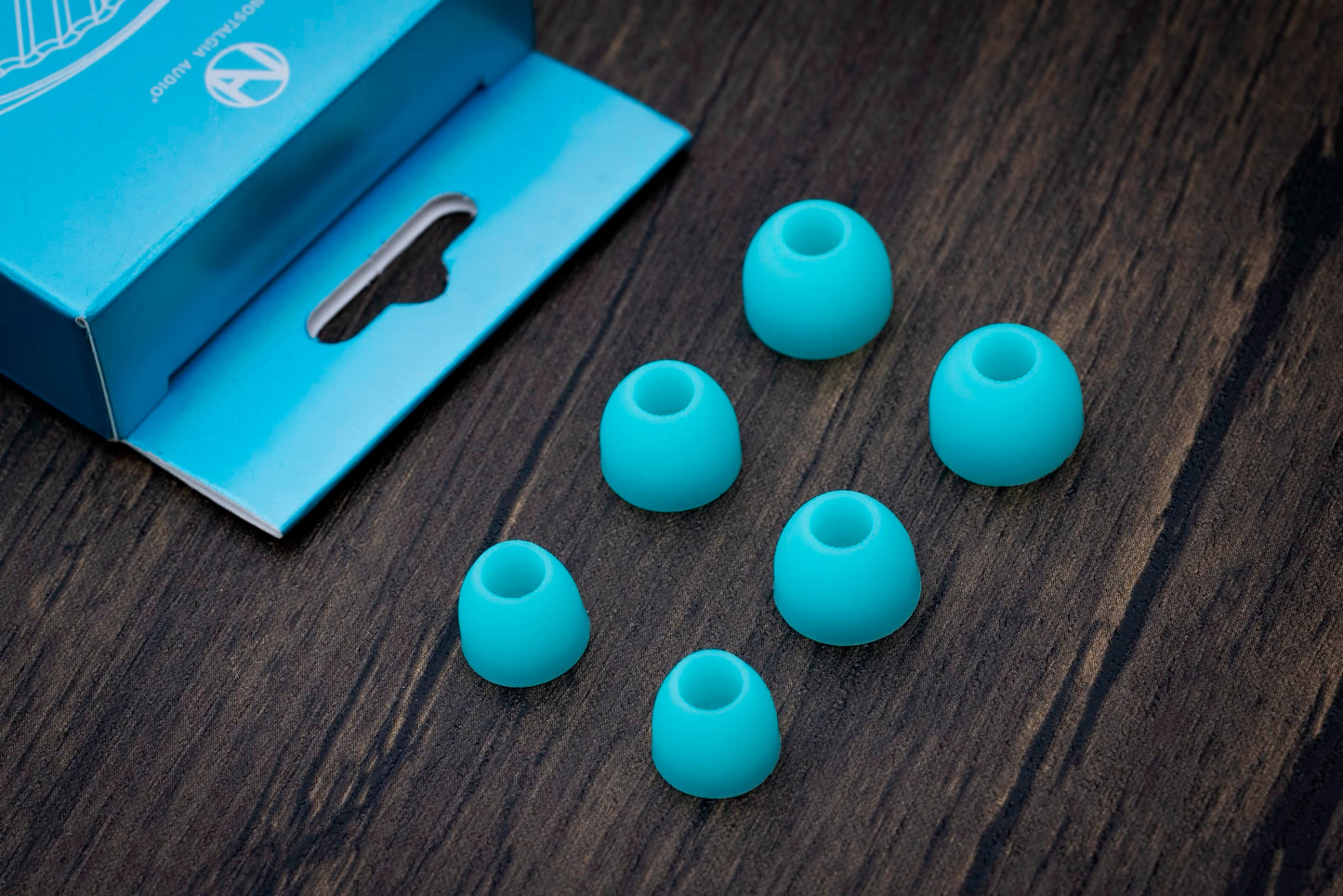 XWB Eartips
